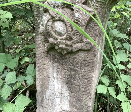 A weathered stone with an engraving in the forest, surrounded by green leaves and grasses., © B. Milbach