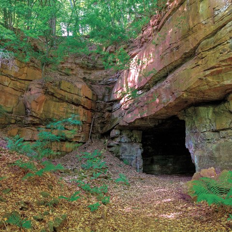 Eingang einer Höhle in einer Buntsandsteinformation, umgeben von grüner Vegetation und Laub am Boden., © Naturpark Südeifel, Charly Schleder