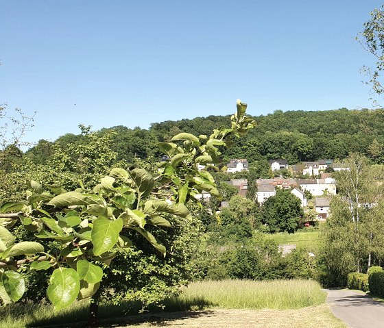 Vue sur le village de Hüttingen, niché dans un paysage verdoyant d'arbres et de prairies sous un ciel bleu et dégagé., © TI Bitburger Land