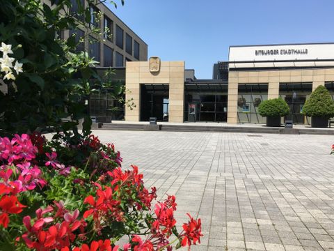 Een modern gebouw met een grote glasfront en een ingangdeur.
Op de voorgrond bloeien kleurrijke bloemen in een beplant gebied.
