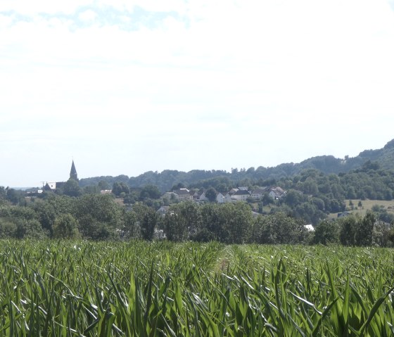 A wide cornfield stretches out in the foreground, while a village with a church tower can be seen in the background. The sky is slightly cloudy., © Tourist-Information Bitburger Land