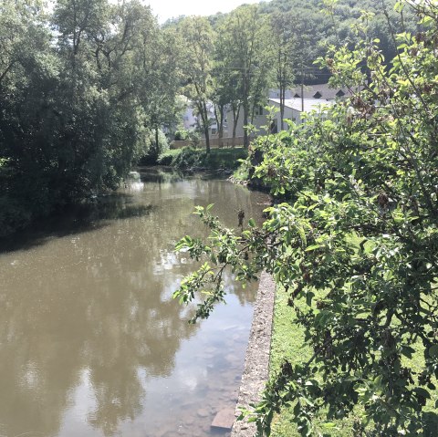 Ein ruhiger Fluss, umgeben von üppigem Grün und Bäumen, fließt durch eine ländliche Gegend. Im Hintergrund sind Gebäude zu sehen., © TI Bitburger Land