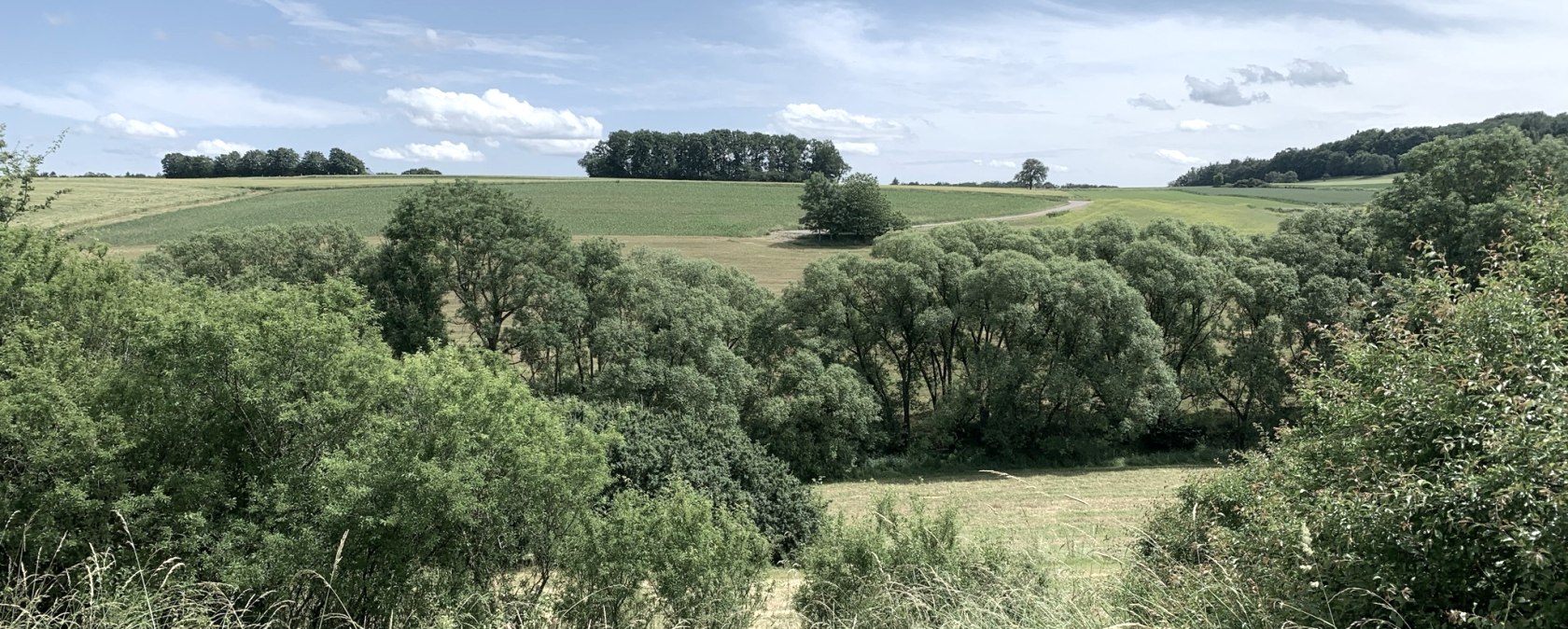 Green fields and trees stretch out under a blue sky with few clouds. A peaceful, rural landscape., © Benjamin Milbach