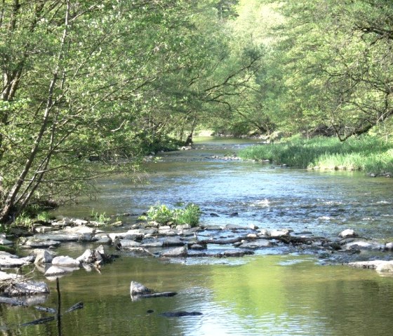Een rustige rivier stroomt door een groen bos in het natuurpark Zuid-Eifel. Stenen en bomen omzomen de oevers en het water weerspiegelt het omringende groen., © Paul Jürgen Evertz
