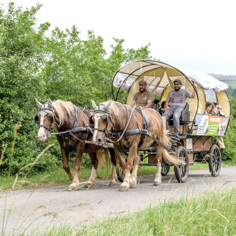 Planwagenfahrt Nengshof, © Carsten Lenz, Nengshof