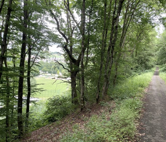 Chemin forestier avec des arbres, à droite un sentier, à gauche vue sur la prairie et la ville en arrière-plan. Environnement vert et calme., © Daniel Köhler