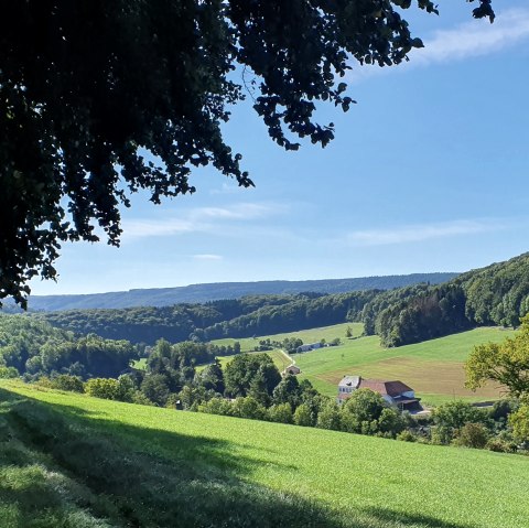 Panoramablick über das Enztal mit grünen Wiesen, Wäldern und einem Bauernhof unter blauem Himmel. Schatten von Bäumen im Vordergrund., © TI BItburger Land - Steffi Wagner