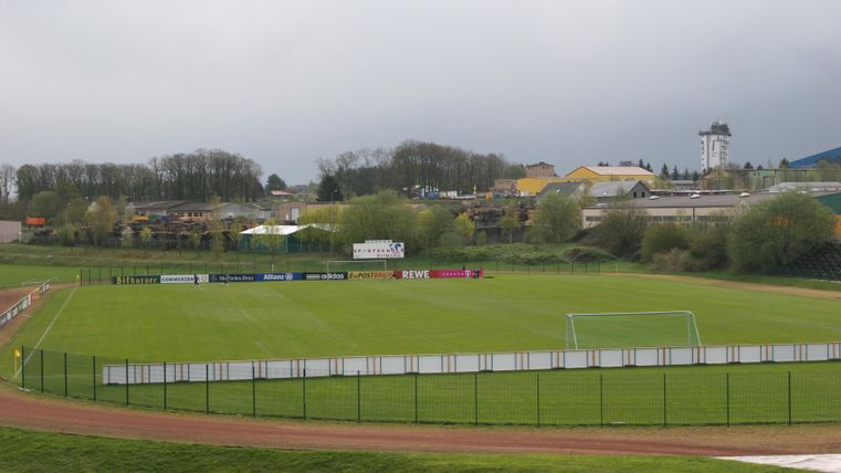 Ein Fußballfeld mit gepflegtem Rasen und zwei Toren. Im Hintergrund sind Bäume und Gebäude sichtbar.