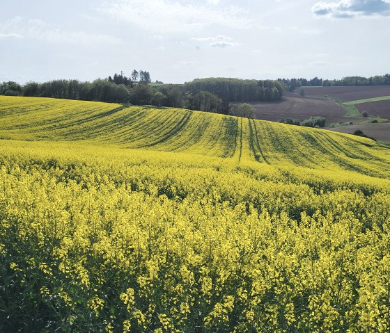 Wanderweg Islek, © TI Islek