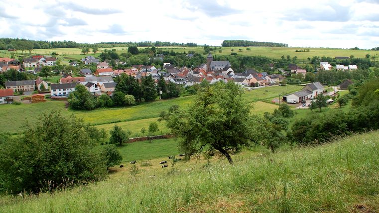 Landschaftsansicht von Gransdorf mit Wiesen, Bäumen und Dorf im Hintergrund.