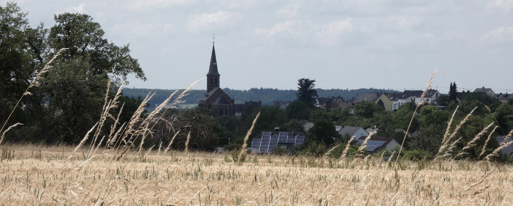 Un champ de céréales au premier plan, derrière une église et des maisons équipées de panneaux solaires à Orenhofen, entourées d'arbres et d'un ciel bleu., © TI Bitburger Land
