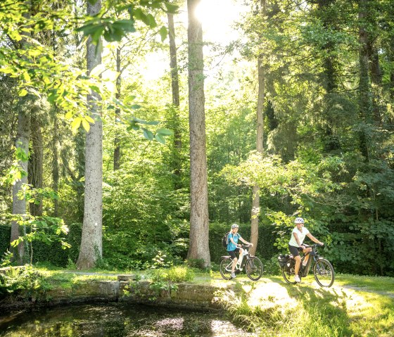 Two cyclists ride along a path through a sun-drenched forest. The surroundings are green and peaceful., © Eifel Tourismus GmbH, Dominik Ketz