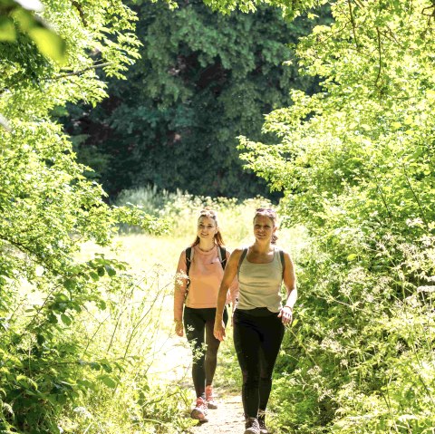 Wanderung Bleialf, © Eifel-Tourismus GmbH, Dominik Ketz
