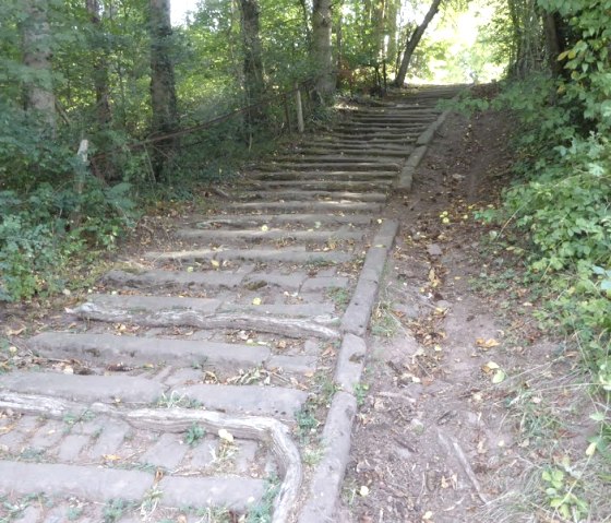 Un escalier en bois monte &agrave; travers une zone bois&eacute;e. Les marches sont recouvertes de feuilles mortes et entour&eacute;es d'arbres., &copy; Eifelverein Ortsgruppe Speicher