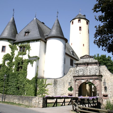 Rittersdorf Castle with two round towers and a high yellow tower. An archway with decorations leads into the castle. Ivy grows on the walls., © Frank Schaal