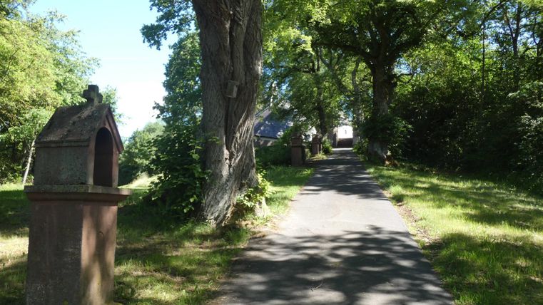 Ein ruhiger Weg, gesäumt von Bäumen, führt durch eine grüne Landschaft. Auf der linken Seite steht eine kleine Steinsäule.