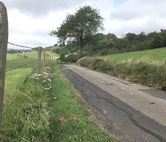 Wandelroute W2, © TI Bitburger Land
