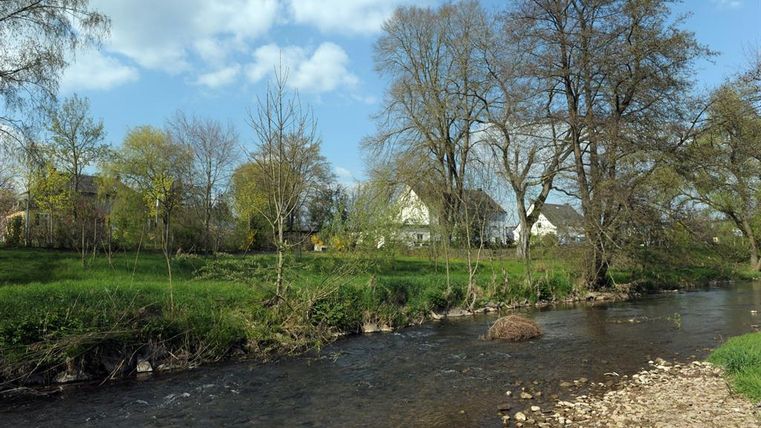 Ein ruhiger Fluss fließt durch eine grüne Landschaft mit Bäumen und grünen Wiesen. Im Hintergrund sind einige Häuser zwischen dem Laub zu sehen.