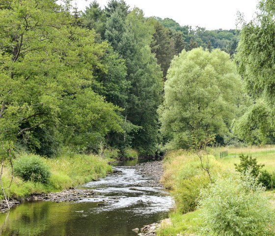 Een kleine rivier kronkelt door een groen landschap van bomen en weiden. De lucht is bewolkt en het water weerspiegelt het omringende groen., © TI Bitburger Land