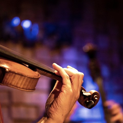 Violine, © Pxabay