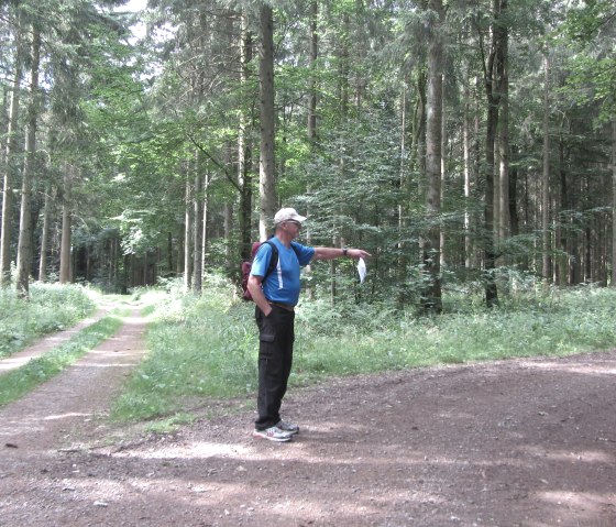 Ein Mann im blauen Shirt steht auf einem Waldweg und zeigt mit der Hand in eine Richtung. Der Wald ist dicht mit hohen Bäumen bewachsen., © M. Bach