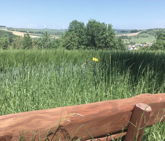 Eine Holzbank steht vor einer grünen Wiese. Im Hintergrund sind Windräder und eine hügelige Landschaft zu sehen., © Fellmann
