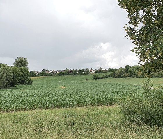 Grüne Felder und Bäume unter einem bewölkten Himmel, im Hintergrund sind Häuser zu sehen. Ein Baumrahmen rechts im Bild.