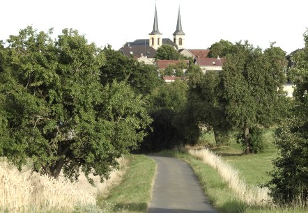 Eine schmale Stra&szlig;e f&uuml;hrt durch eine gr&uuml;ne Landschaft mit B&auml;umen. Im Hintergrund sind die T&uuml;rme einer Kirche in Idenheim zu sehen., &copy; Thomas Neises