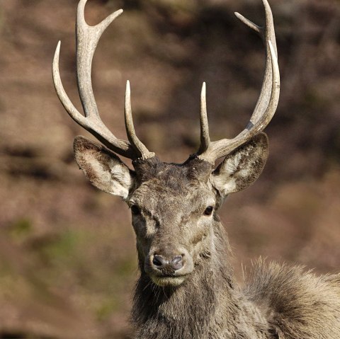 Eifelpark Gondorf, &copy; Eifelpark