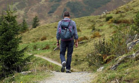 Ein Wanderer mit einem Rucksack geht auf einem schmalen Weg durch eine grüne, bergige Landschaft. Im Hintergrund sind Bäume und Hügel zu sehen.