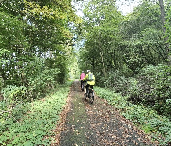Twee fietsers rijden over een smal, met bomen omzoomd bospad in het Nimstal-Prümtal bij Oberweis., © TI Bitburger Land, Steffi Wagner
