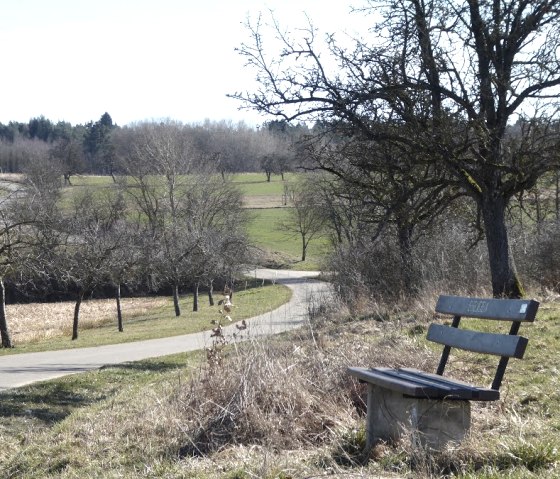 Een bankje staat aan de rand van het pad met uitzicht op een landelijk landschap. Een kronkelend pad leidt door velden en bomen., © Eifelverein Ortsgruppe Speicher