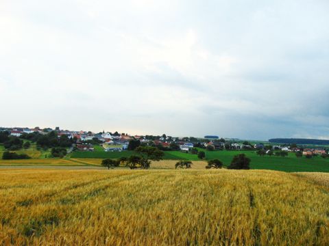 Landschaft mit Getreidefeld und Dorf im Hintergrund unter bewölktem Himmel.