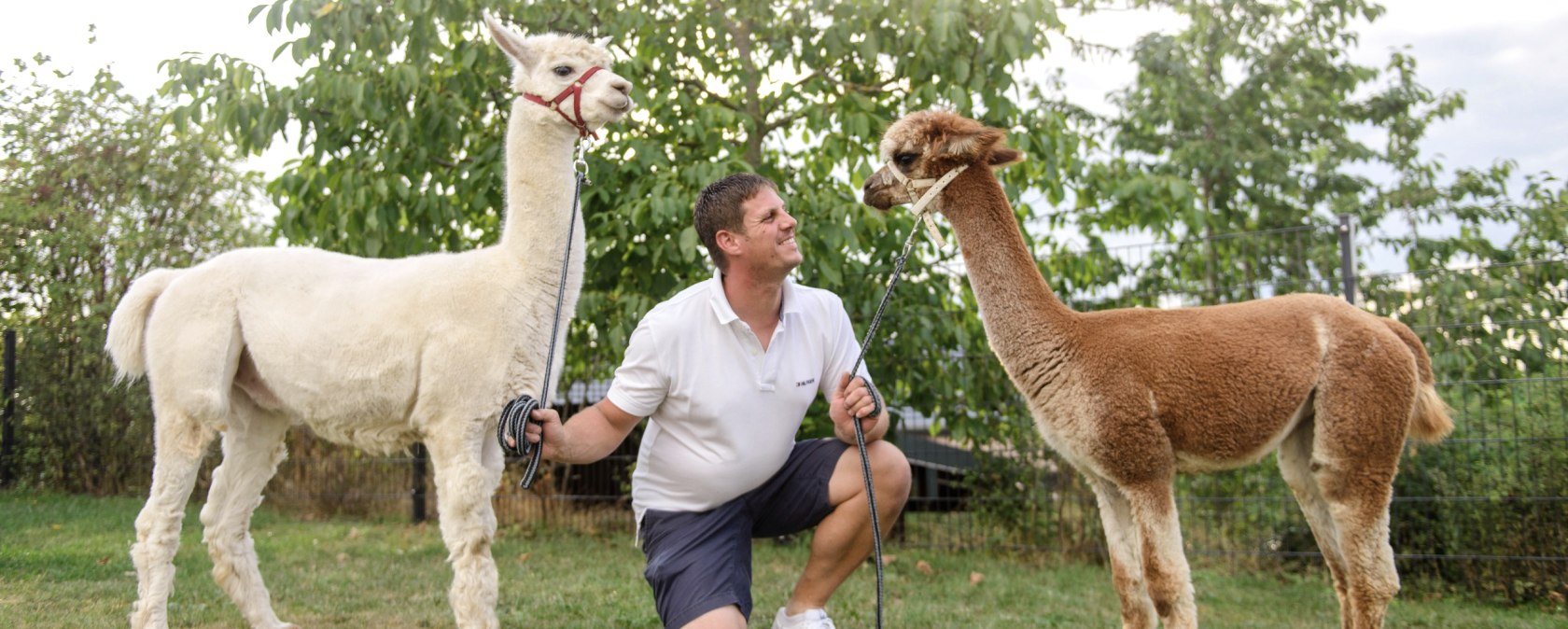 Alpaka Wanderung rund um Messerich, &copy; Christian Thommes