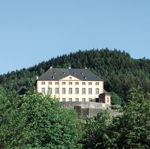 Kasteel Malberg troont op een heuvel, omringd door groene bomen en een helderblauwe lucht op de achtergrond., © TI Bitburger Land