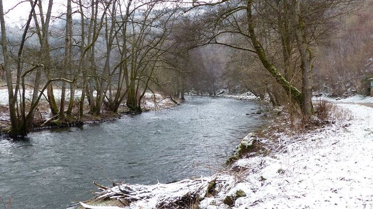 Verschneiter Flusslauf mit kahlen Bäumen am Ufer.
