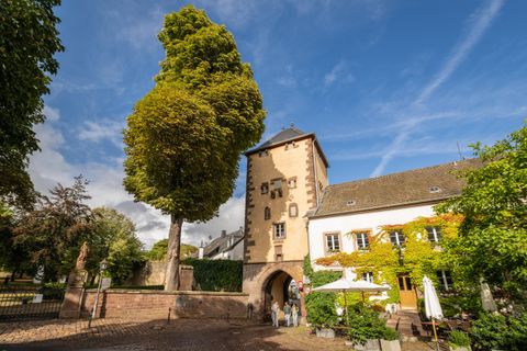Un bâtiment historique avec une tour marquante et un grand arbre dans les environs. Le ciel est bleu et la place est animée avec des visiteurs et des plantes.