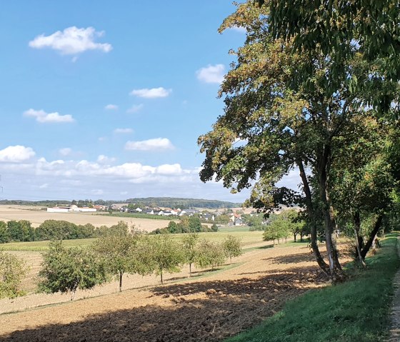 Vue sur des champs et un village à l'horizon, bordé d'arbres et d'un chemin de terre, sous un ciel bleu clair., © TI Bitburger Land - Steffi Wagner