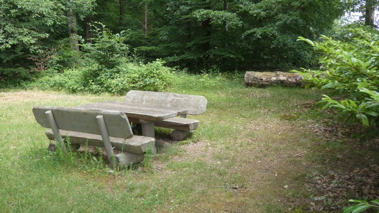 Holztisch mit Bänken im Wald