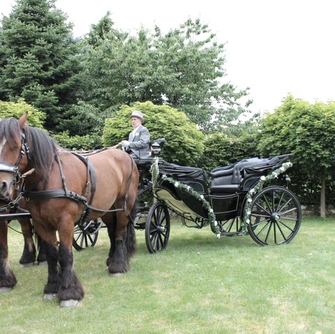 Hochzeitskutsche, © Winter - Eifelreiterhof