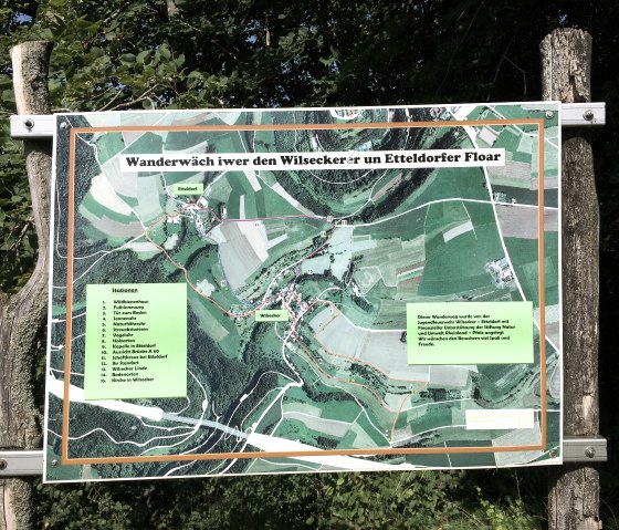 Map of the hiking trail at the Wilsecker Linde with marked stations and routes on a wooden frame surrounded by trees., © Tourist-Info Bitburger Land M.Mayer