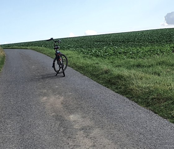 Un vélo sur un chemin étroit entre des champs de maïs et des prairies vertes, un ciel bleu en arrière-plan., © TI Bitburger Land, Steffi Wagner