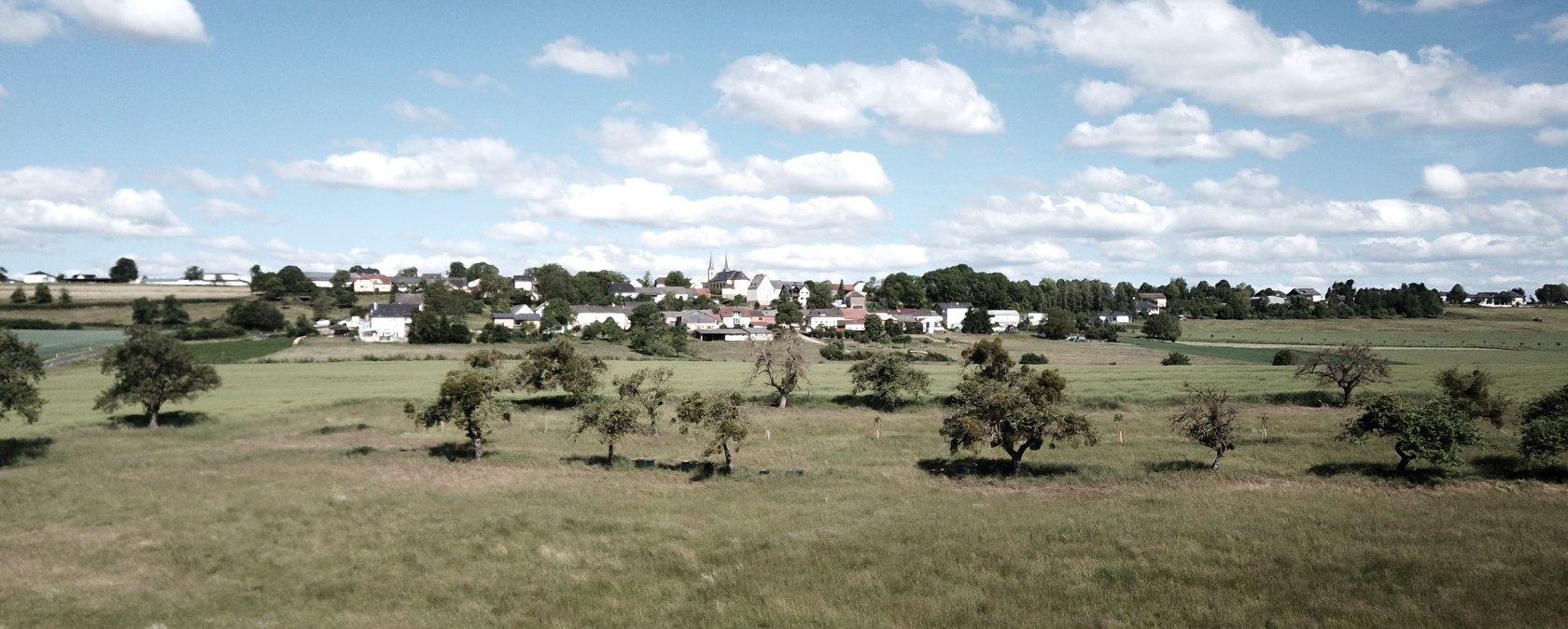 Grüne Wiesen mit vereinzelten Bäumen, im Hintergrund das Dorf Idenheim unter blauem Himmel mit weißen Wolken., © Ingrid Penning