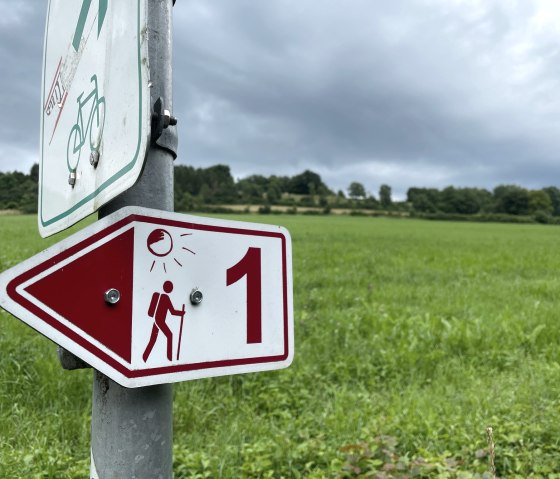 A hiking signpost with the number 1 points in one direction on a country lane. A green meadow and a cloudy sky can be seen in the background., © Daniel Köhler