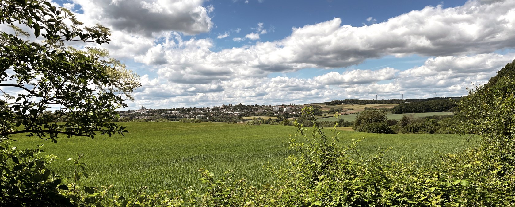 Grüne Felder und Büsche unter einem bewölkten Himmel, im Hintergrund eine Stadtlandschaft. Blick von der RWE-Route., © TI Bitburger Land