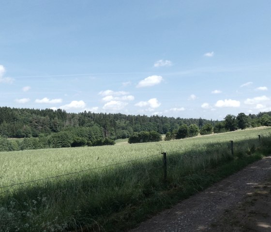 Ländlicher Wanderweg neben einer grünen Wiese, umgeben von Wald und unter einem blauen Himmel mit wenigen Wolken., © TI Bitburger Land