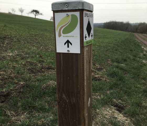 Orenhofen 9 runs along the premium trail of the NaturWanderPark delux, © TI Bitburger Land