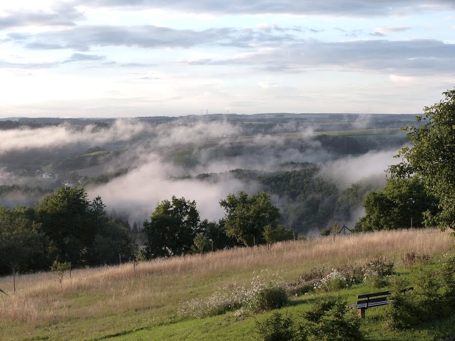 Panoramablick über eine grüne Landschaft mit Nebel. Im Vordergrund eine Bank, im Hintergrund Hügel und Bäume unter einem bewölkten Himmel., © Eifelverein Ortsgruppe Speicher