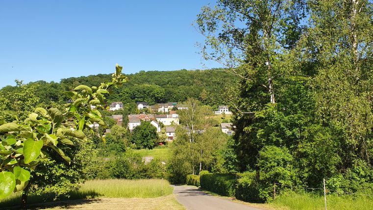 Blick auf Hüttingen vom Wanderweg aus, umgeben von grüner Natur und blauen Himmel.