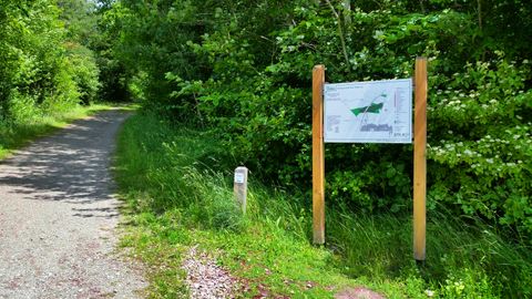 Ein Waldweg mit einem Informationsschild am Wegesrand.